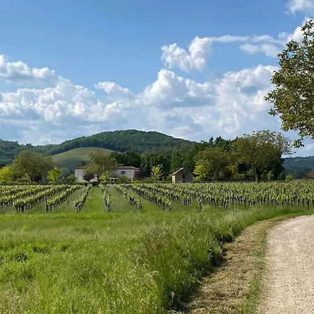 Spacieuse Avec Piscine Prive , Vallee Du Lot *
